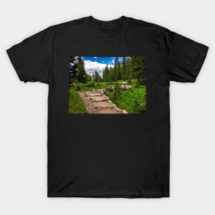 Colorado (Rocky Mountain National Park) T-Shirt